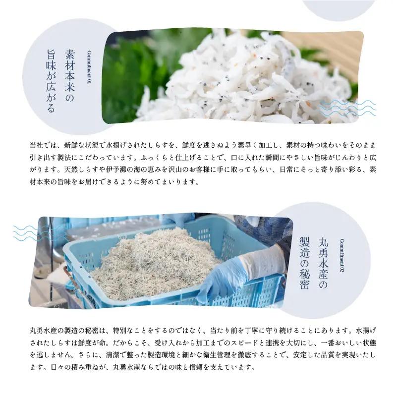 訳あり しらす 1kg 釜揚げしらす しらす干し 愛媛県 松前町 【MYS001】