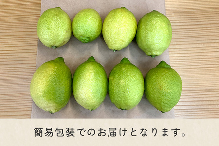 筑波山麓で育ったフレッシュレモン　1kg（訳あり） 1kg 訳アリ 不揃い 訳あり 茨城県 石岡市 B03-008
