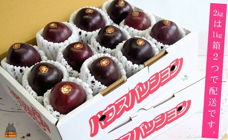 《今が旬！》とくのしま中島農園さんのパッションフルーツ（2kg） ( パッションフルーツ 果物 フルーツ 旬 トロピカルフルーツ 奄美 徳之島 鹿児島 美味しい 中島農園 )