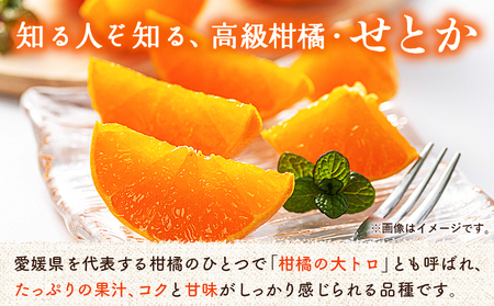 ＜せとか（家庭用）約1.2kg＋300g＞ 自宅用 訳あり ワケアリ 果物 くだもの フルーツ ミカン みかん セトカ 蜜柑 高級柑橘 柑橘の大トロ 柑橘 特産品 笑丸 愛媛県 西予市 常温『2027
