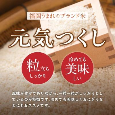 ふるさと納税 久留米市 【令和7年産 新米】福岡県産ブランド米 元気つくし(白米) 4.5kg(久留米市) |  | 02
