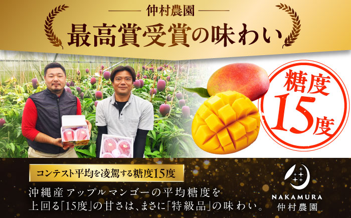【家庭用】仲村農園の完熟アップルマンゴー 2kg マンゴー 沖縄 果物 フルーツ ギフト 沖縄市 / 仲村農園 [BCCU003]