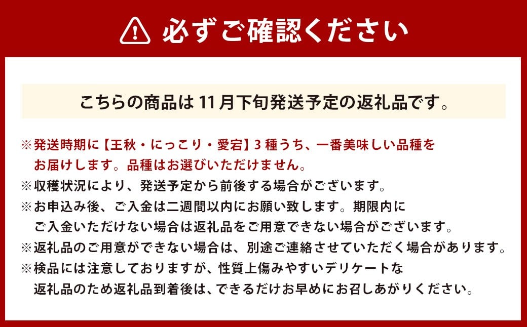 浅岡農園の梨 約5kg