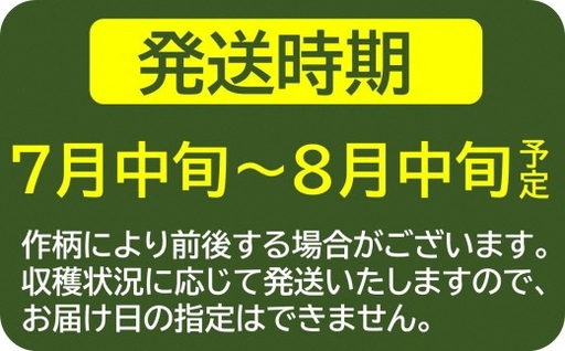 【先行予約・数量限定】風味豊かな早生枝豆「越後はちこく茶豆」 1kg（250g×4袋）新潟県産枝豆[ZA025]
