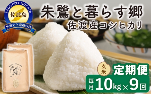 【定期便 令和8年産新米 9か月】 佐渡島産コシヒカリ 玄米 10kg 令和8年産新米 特別栽培米 | 新潟県産コシヒカリ 新潟産コシヒカリ 佐渡産コシヒカリ 新潟県産こしひかり 佐渡産こしひかり お米 米 こしひかり 玄米 げんまい おこめ コメ 10キロ にいがた さど 新潟県 佐渡市