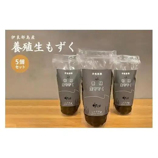 養殖もずく　5個セット 沖縄 宮古島 ふるさと納税 おすすめ 人気 もずく モズク 海藻 ミネラル 海 食 （FU002）