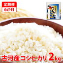 【ふるさと納税】【新米】【定期便 6か月】令和6年産 古河市産コシヒカリ 2kg◇｜米 コメ こめ ごはん ご飯 ゴハン 白飯 単一米 国産 コシヒカリ こしひかり 2kg 定期便 6ヶ月 6回 茨城県 古河市_DP29