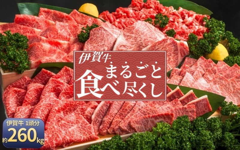 
                  肉の横綱　伊賀牛まるごと食べ尽くし【cook0044】
                