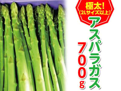 ＜先行予約！2027年3月上旬以降順次発送予定＞＜極太＞アスパラガス(約700g・2Lサイズ以上) 香川県 国産 野菜 アスパラ 新鮮 冷蔵便 【man096】【Aglio nero】