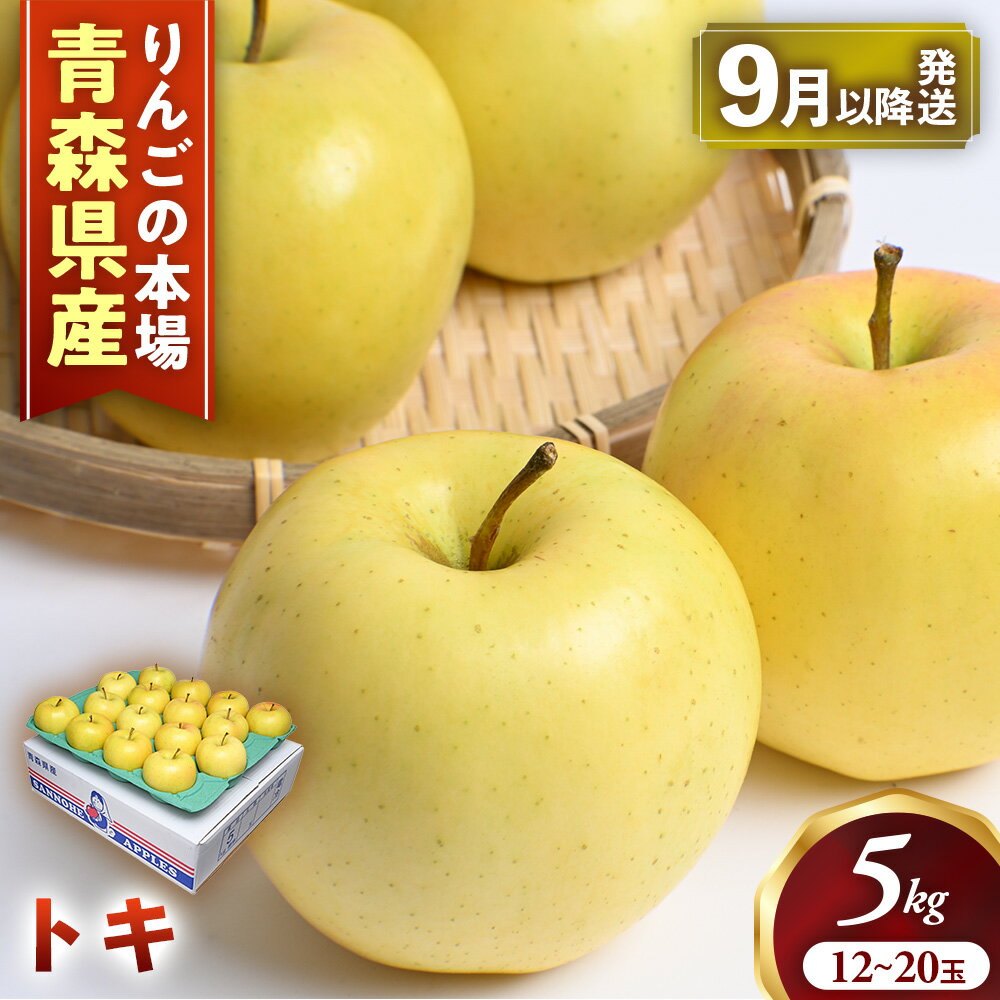 【ふるさと納税】【2026年産・先行予約】青森りんご【トキ】約5kg（12〜20玉）★2026年9月下旬〜11月上旬頃まで発送予定★りんご 林檎 リンゴ 国産 トキ 希少 フルーツ 果物 贈答 土産 青森県 三戸町