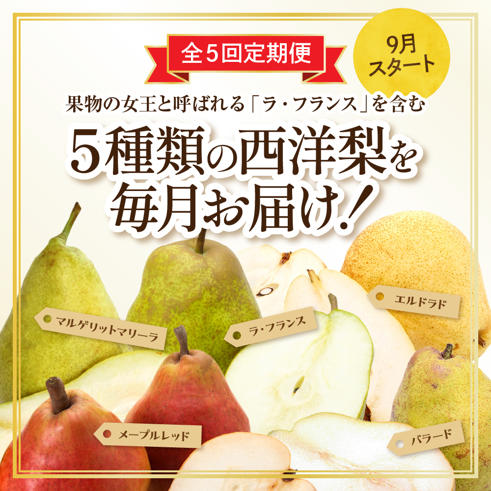 【令和7年産 先行予約 5回定期便】西洋梨食べ尽くし定期便 東根農産センター提供 hi027-201-2