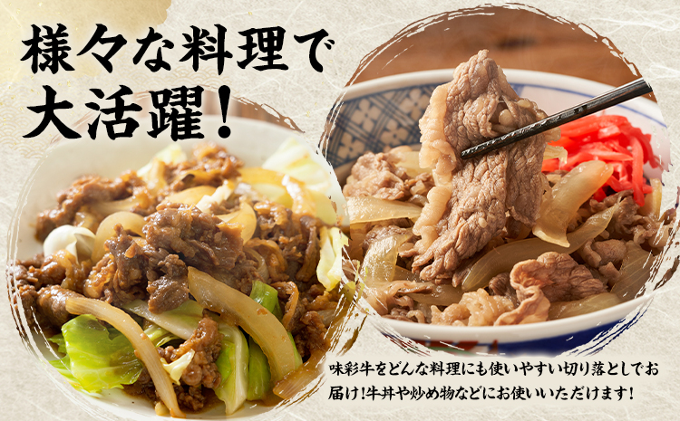味彩牛 切り落とし 500g のぐち産業株式会社《90日以内に出荷予定(土日祝除く)》熊本県 菊池市 牛肉 スライス お肉 精肉 熊本県産 九州産 国産 冷凍 送料無料