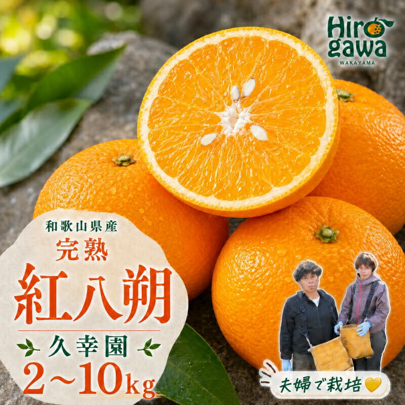 【ふるさと納税】 完熟 紅 八朔 2kg 5kg 7kg 10kg 6000円 10000円 13000円 17000円 久幸園 / 紅八朔 はっさく 樹上完熟 完熟 木成り 柑橘 果物 くだもの フルーツ みかん 和歌山 有田 広川町 ※2027年4月上旬〜5月上旬頃に順次発送予定 //hassaku