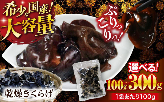 
            きくらげ【選べる容量】【希少な国産品】【大容量】大洲産・乾燥きくらげ 100g〜300g（1袋100g入） [AGBK008] きくらげ 国産 きくらげ 乾燥 乾燥きくらげ 乾物 おつまみ 和食 中華料理  キクラゲ 国産 ラーメン トッピング 木耳 国産 乾燥木耳
          