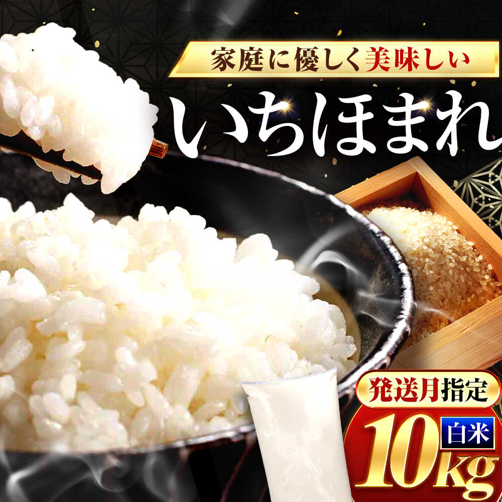 【ふるさと納税】】【選べる発送月】福井県産 いちほまれ 精米 10kg 県産ブランド米 / コメ 白米 米 小浜市 / 梅田東米穀店[BFEK019]