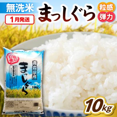 ふるさと納税 五所川原市 【1月発送】無洗米 10kg 青森県産 まっしぐら 令和7年産米(精米)