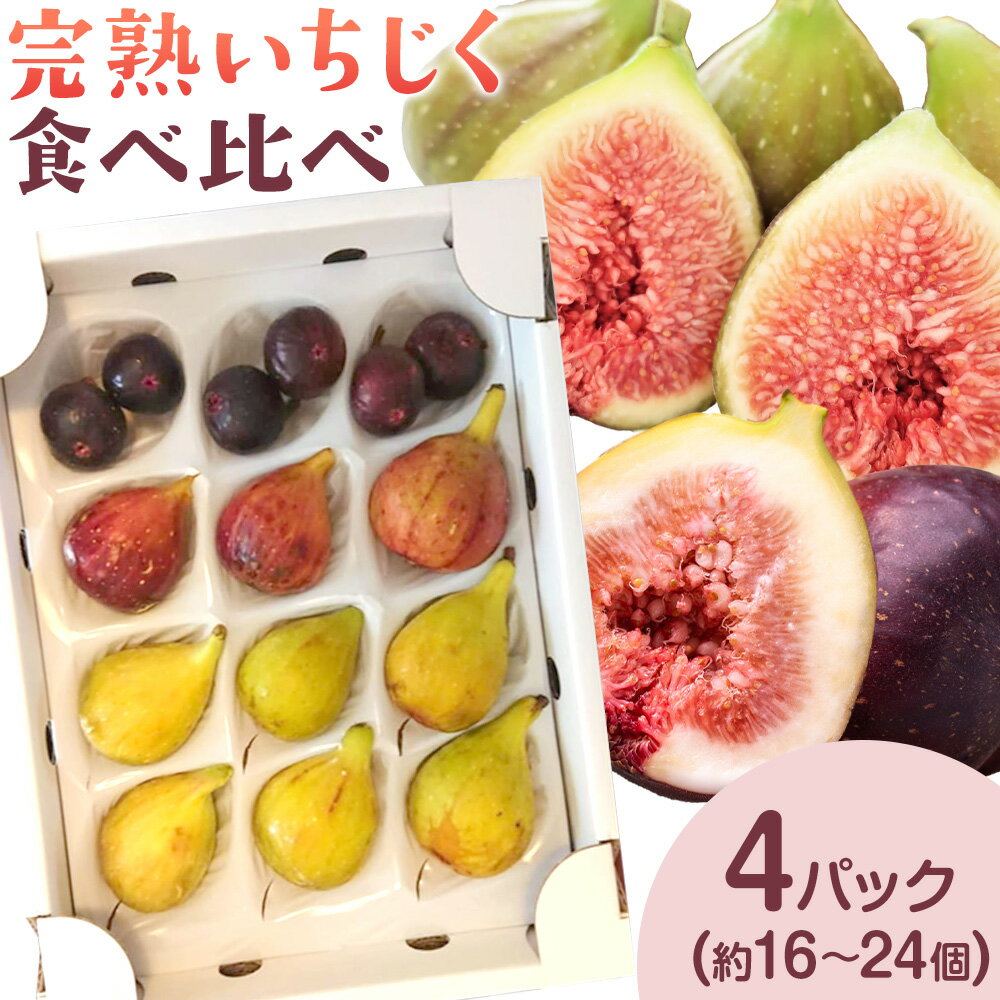 【ふるさと納税】 天草 完熟 いちじく 食べ比べ 南蛮柿 フルーツ 果物 果実 スイーツ 食物繊維 ミネラル 豊富 健康食材 製菓 熊本 天草 苓北　ドーフィン バナーネ ブルジャ ネグローネ 送料無料《8月中旬-10月上旬頃出荷》