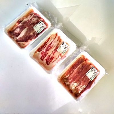 黒豚しゃぶしゃぶセット【岩泉産龍泉洞黒豚】おためし用600g【配送不可地域：離島】【1618940】