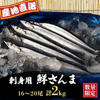 ふるさと納税 厚岸町 【先行受付・産地直送】旬の味覚!刺身用 鮮さんま(16〜20尾)
