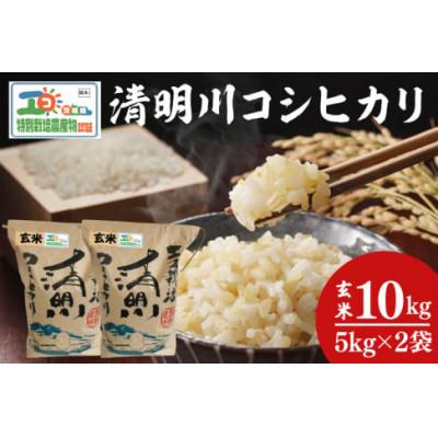 ふるさと納税 阿見町 【先行予約】新米令和7年産 清明川コシヒカリ玄米5kg×2袋(04-20)