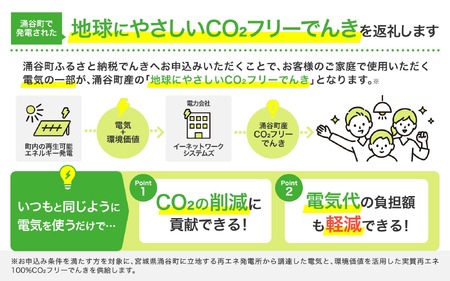 涌谷町CO2フリーでんき 1,500円×6ヶ月コース【※※お申込み前に申込条件を必ずご確認ください】 東北電力 電気 電力 東北 電気代 電気料金 青森県 岩手県 宮城県 秋田県 山形県 福島県 新潟