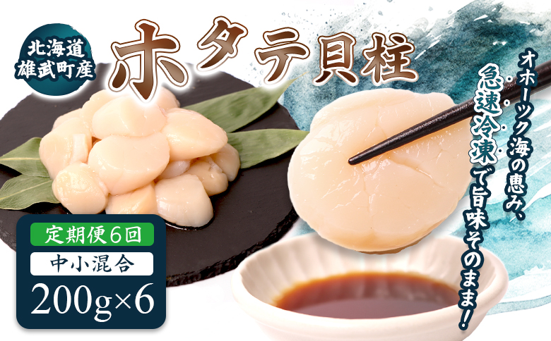 【定期便6回】　北海道雄武町産ほたて貝柱 中小混合 200g×6 (冷凍) 使い切りパック【07145】