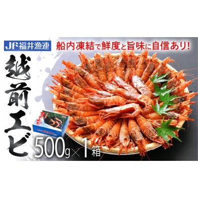 ふるさと納税 越前町 【JF福井漁連ブランド】船凍越前えび 500g