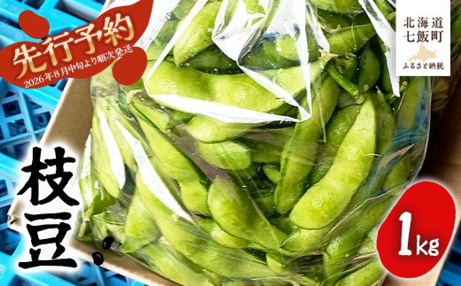 【先行予約 令和8年8月中旬より順次発送】 北海道産 枝豆500g×2 おいしい！ 【 ふるさと納税 人気 おすすめ ランキング えだまめ 1kg 栄養 おつまみ 岡田農場 北海道産 北海道 七飯町 送料無料 】 NAZ020
