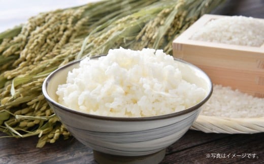 A171  【 令和7年産 】 ゆめぴりか ななつぼし （ 精白米 ） 真空パック 2kg×各2袋 セット 北海道 鷹栖町 たかすタロファーム 米 コメ こめ ご飯 お米 白米