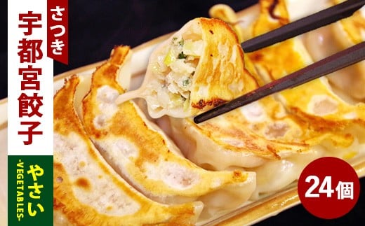 
            やさい餃子 24個入り×1箱（480g）
          