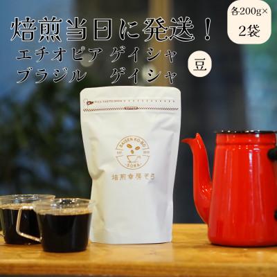 ふるさと納税 大垣市 【2025年11月上旬発送】焙煎当日に発送!エチオピア&ブラジル・ゲイシャ 各200g 【豆のまま】 | 