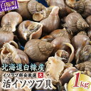【ふるさと納税】北海道 活イソツブ貝 大サイズ 1kg ふるさと納税 貝 つぶ貝 ツブ貝 国産 魚貝 魚介 食品 新鮮 海産物 海鮮 簡単調理 おつまみ 晩酌 刺身 煮つけ 味噌汁 人気 北海道白糠町