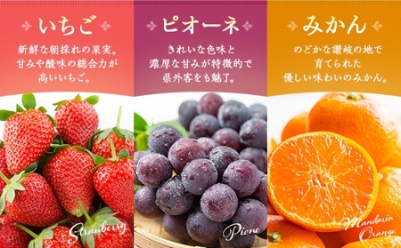 フルーツ定期便 丸亀讃美果 計12回定期便／ 果実 果物 旬 定期配送 シャインマスカット 桃 みかん いちご ピオーネ ぶどう　詰め合わせ 詰合せ  