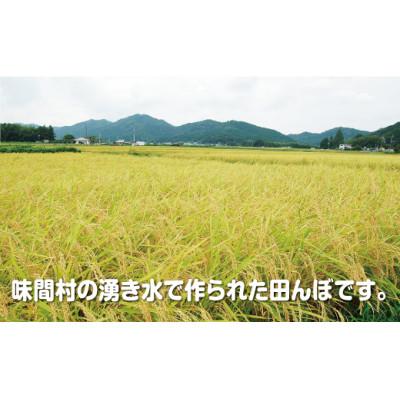 ふるさと納税 丹波篠山市 丹波篠山産 特Aランク 湧水米(わきみずまい)精米 5kg×2袋 |  | 02