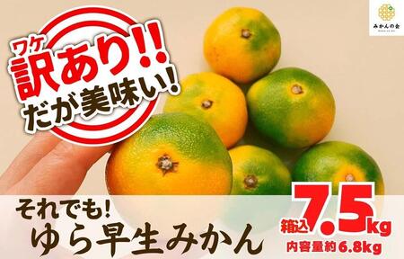 訳あり ゆら早生 みかん 箱込7.5kg(内容量 6.8kg)サイズミックス 有田みかん 和歌山県産 【みかんの会】