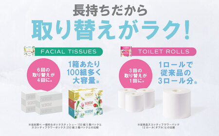 【スコッティ】ティシュー フラワーボックス 250組（5箱パック×2セット）＋フラワーパック 3倍長持ち（4ロール(ダブル)パック×6セット）ティッシュ トイレットペーパー 日用品