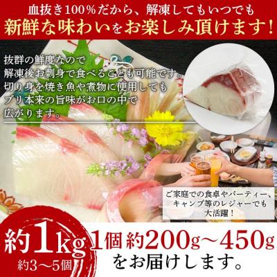 ふるさと納税 西予市 <異次元の鮮度!「超冷薫」冷凍ぶり ブロックカット(1kg)>　ブリ　鰤　海産　魚介　西予 |  | 03