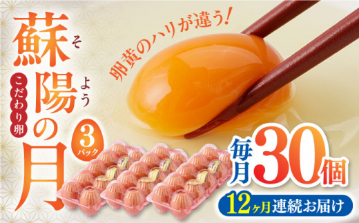 
【全12回定期便】蘇陽の月 30個入り ( 10個入り × 3パック ) 熊本県産 山都町 たまご 卵 玉子 タマゴ 鶏卵 オムレツ 卵かけご飯 朝食 料理 人気 卵焼き【蘇陽農場】[YBE020]
