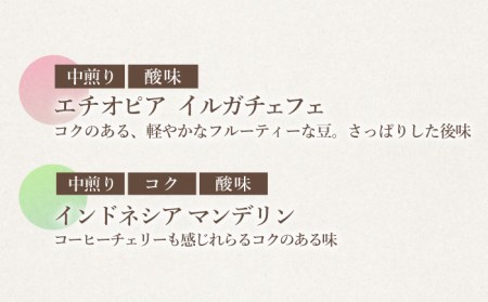 【粉タイプ】【6回定期便】【飲み比べセット】自家焙煎コーヒー 4種類 各1袋＜giko coffee＞ [CFK047]