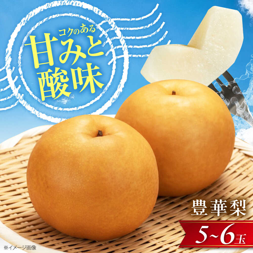 【先行予約】【ふるさと納税】尾形農園の豊華梨(ゆたかなし) 5〜6玉入 〈2026年8月〜発送〉 ／ 梨 なし ナシ 豊華梨 ゆたかなし ゆたか梨 ゆたか フルーツ 果物 くだもの 食品 人気 おすすめ 和梨 甘い 旬 贈答 【株式会社内子フレッシュパークからり】[BKAD036] 12000円