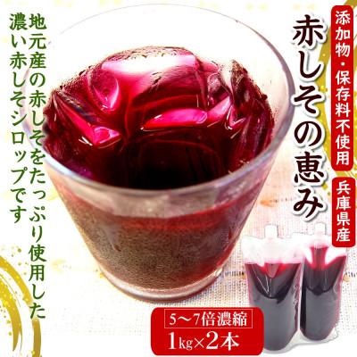 ふるさと納税 新温泉町 濃い赤しそシロップ「赤しその恵み」2本×1kg(5〜7倍濃縮)国産赤紫蘇ジュース  かさばらない容器