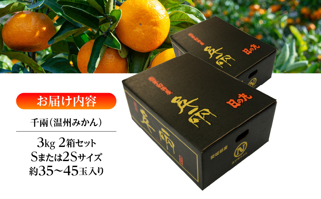 【先行受付】日の丸みかん「千兩」3kg　約35〜45個/2箱セット/S・2Sサイズ/光センサー使用【D79-9】【1452042】 YWTC009