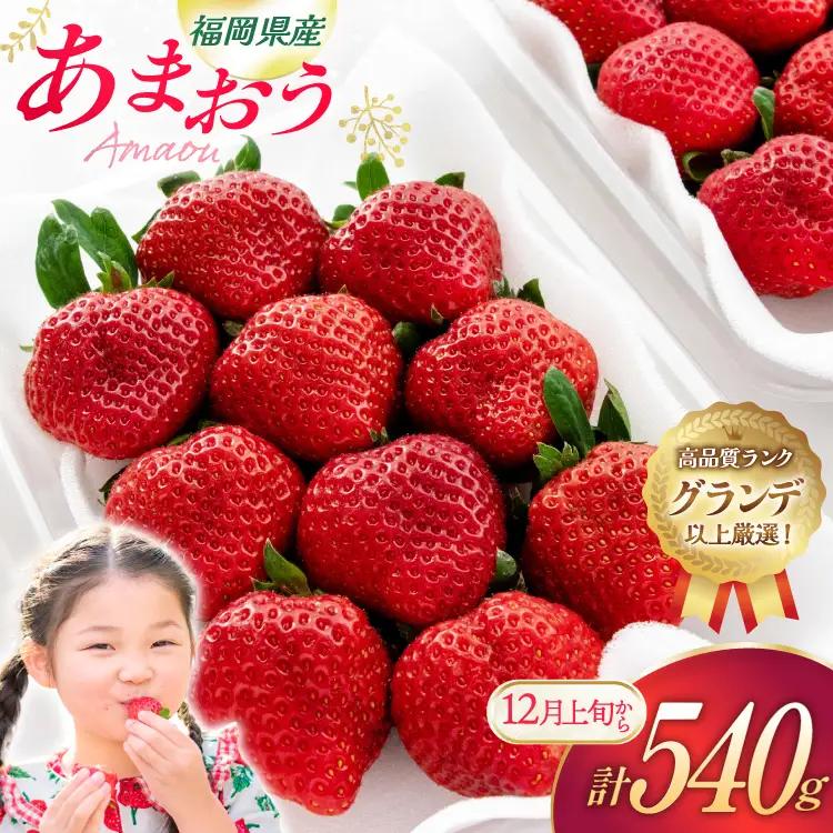 いちご あまおう 270g 2p 計540g【12月発送】[hurrah. 福岡県 宇美町 um40bjm200005]
