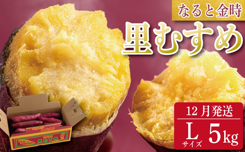 さつまいも 鳴門金時 5kg 2025年12月発送 なると金時 Lサイズ 里むすめ 芋 野菜 スイーツ スイート チップス 棒 箱 詰め 紅 甘い お菓子 金時 大学 種類 生 調理 干し芋 焼き芋 ホクホク ケーキ 産地直送 黄 ふるさと ギフト 年 日 徳島 鳴門