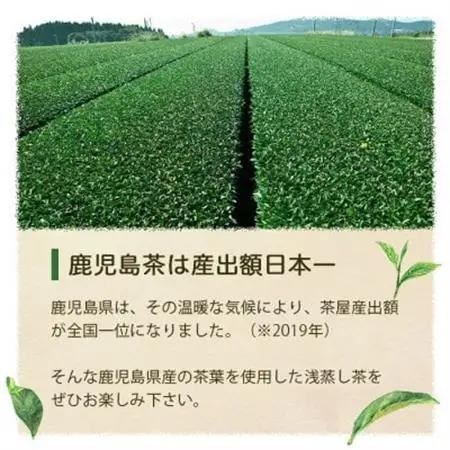 【2026年5月以降発送】浅蒸し煎茶(100g×2袋)【若蒸し煎茶】【合計200g】A0-69_飲料・ドリンク 茶葉・ティーバッグ 茶 _【配送不可地域：離島】【1611521】