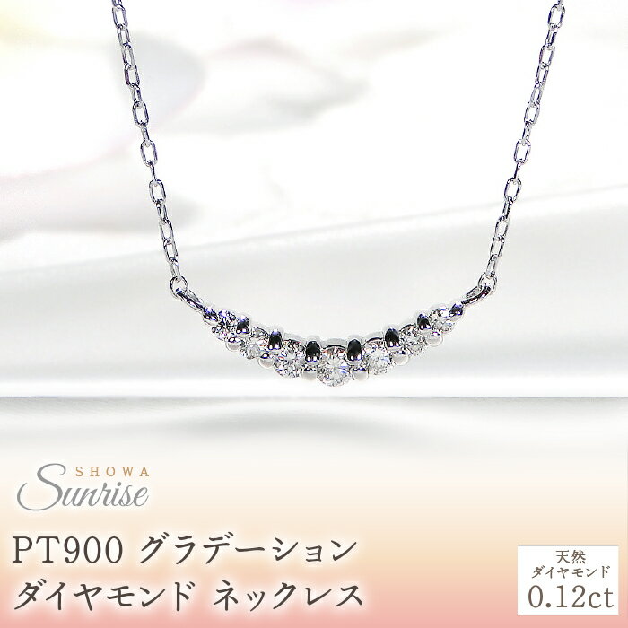 【ふるさと納税】 【0.12ct】PT900 グラデーション ダイヤモンド ネックレス CSN00201-PT SWAV020