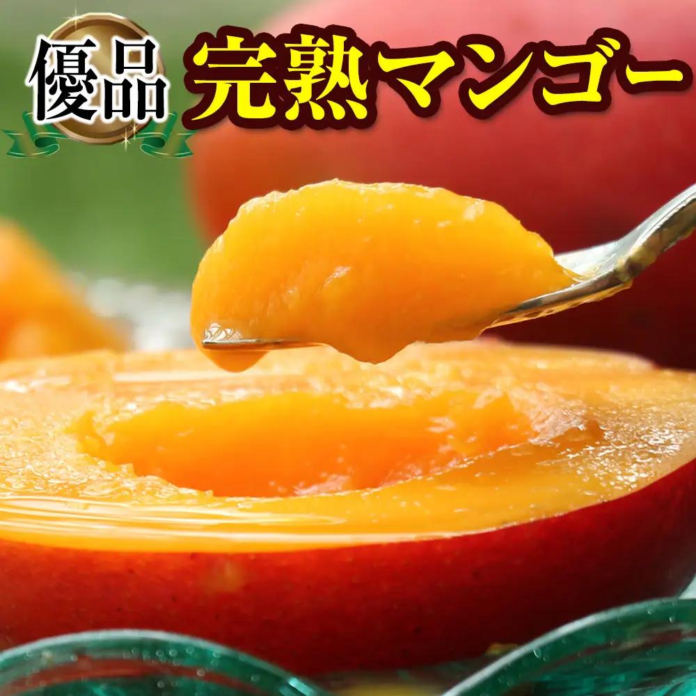 【2026年発送】「優品」丹精込めた完熟マンゴー1.5kg　3玉～5玉