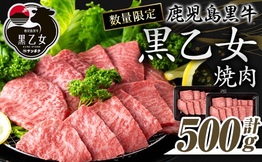 
            鹿児島黒牛 黒乙女 和牛モモ焼肉(計500g・250g×2P) 黒毛和牛 黒牛 鹿児島県産【ナンチク】A966
          