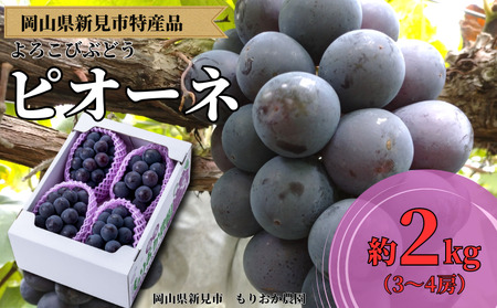 もりおか農園 よろこびぶどう ピオーネ 約2kg 3～4房 【先行予約 9月上旬から順次発送】