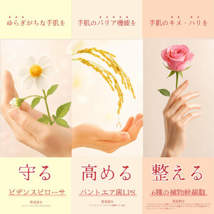 オプティモ フローラルハンドクリーム 50g×5